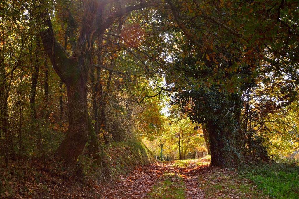 Maison Au Calme Sur Le Causse Correzien, Entre Quercy Et Perigord Villa Saint-Cernin-de-Larche Esterno foto