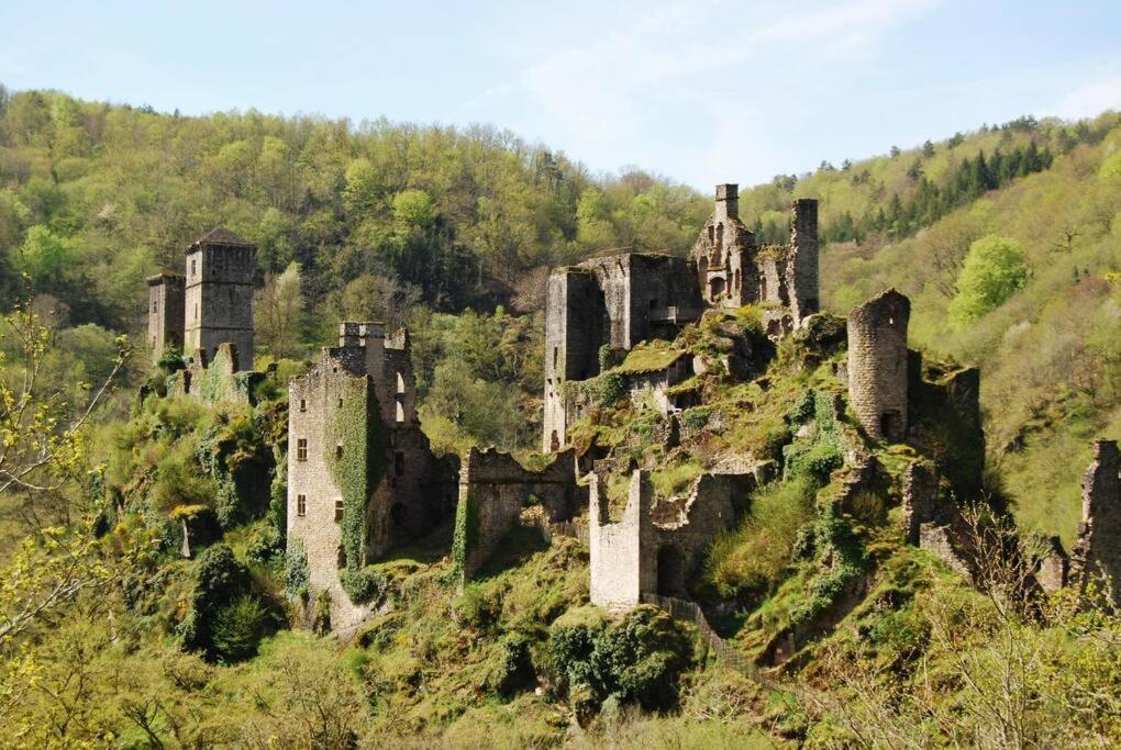 Maison Au Calme Sur Le Causse Correzien, Entre Quercy Et Perigord Villa Saint-Cernin-de-Larche Esterno foto